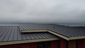 Best Cold Roofs  in Florence, AZ